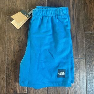 Men’s blue north face shorts